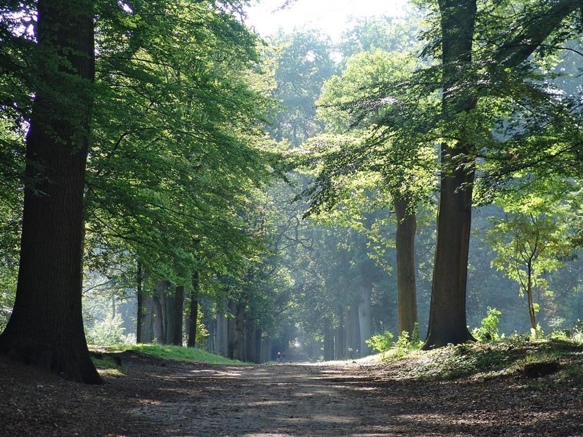 Luxe Safaritent Medley 5 Persoons Op Camping Rijsterbos Exterior foto